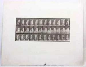 EADWEARD MUYBRIDGE authentische 1887 Kollotypie TIER LOKBEWEGUNGSPLATTE 72 - Bild 1 von 11