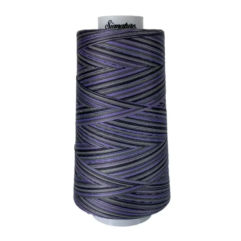 Signature Variegated 40 weight cotton thread 3000 yard cone- Shadows - Image 1 of 1