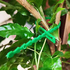 110pcs Green Cable For Climbing Trees Multifunctional Indoor Outdoor Plant Tie