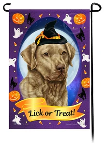 Bandera de jardín de Halloween - hierba muerta Chesapeake Bay Retriever - Imagen 1 de 1