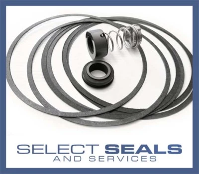 Grundfos CH2 Pump & CH4 30 CH2-50 985164 CVBE/V Mechanical Seal & 10 Gaskets