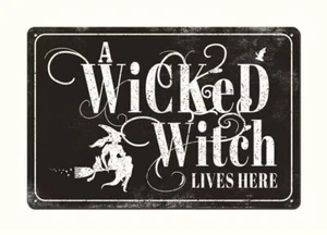 Wizards Welcome Muggles Tolerated - 12x8 Inch Funny Decorative Sign Home Deco... - Picture 1 of 6