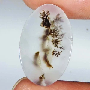 8.35 Cts Genuine Scenic Dendritic Agate Oval Cabochon Gemstone 13x20x3 mm GIA_57 - Picture 1 of 7