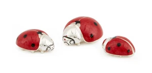 Saturn Sterlingsilber und Emaille Marienkäfer - vollständig gestempelt - Bild 1 von 3