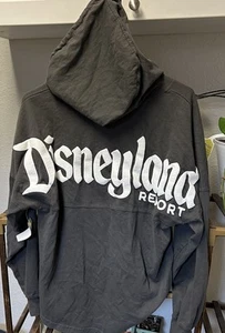 Disneyland Resort Spirit Jersey Hoodie Shirt Adult Unisex Small Gray Long Sleeve - Picture 1 of 5
