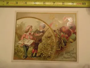Löwe Kaffee Woolson Gewürz Bildkarte Mokka Java Rio Werbung Sammelkarte #4 - Bild 1 von 2