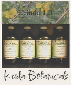 SINICUICHI / SUNOPENER Liquid Extract PREMIUM TINCTURE Heimia salicifolia 30ml - Picture 1 of 1