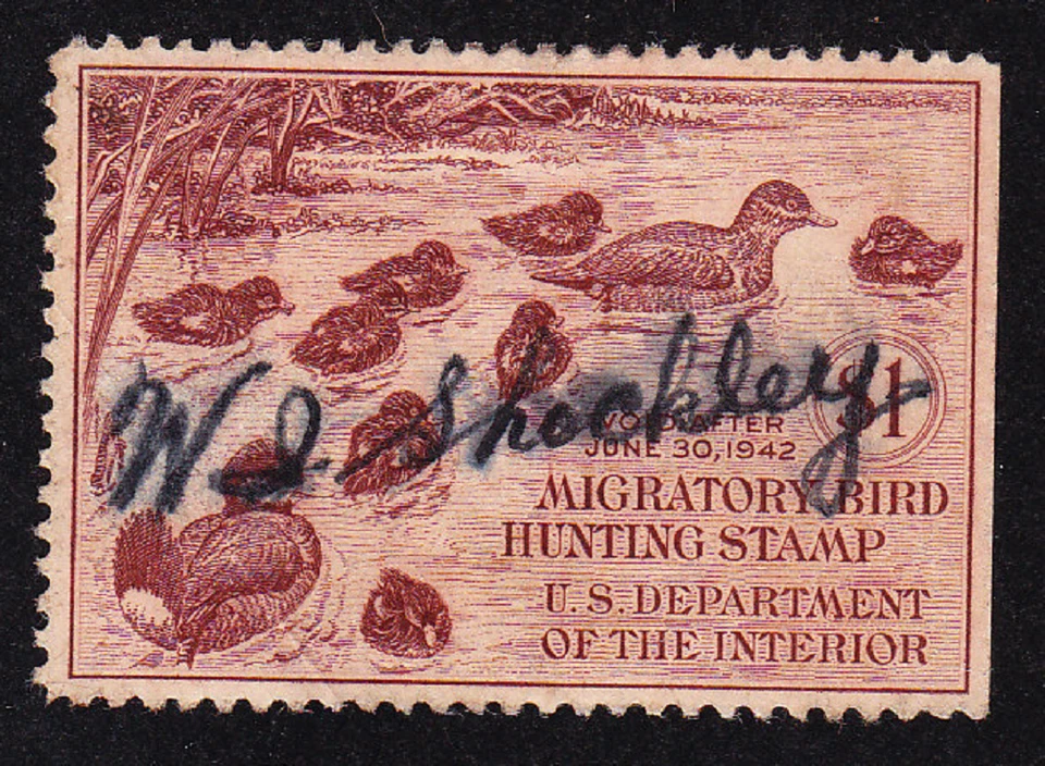US Scott RW8 old $1 Migratory Bird "Duck" Hunting stamp U/VF NSE CV $50 - Image 1 of 1