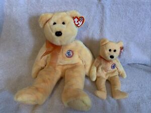 TY BEANIE BABY - SUNNY LOT OF 2 BABY AND BUDDY MINT