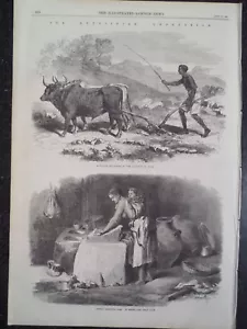 Dos Vistas Tigre Etiopía Expedición Abisinia 1868 Noticias Ilustradas de Londres - Imagen 1 de 1