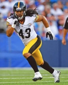 Impresión fotográfica 8x10 de Troy Polamalu Pittsburgh Steelers - Imagen 1 de 1
