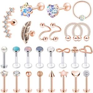 25Pcs 16G Cartilage Earring Surgical Steel Lip Studs Set Conch Piercing Jewelry