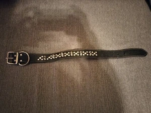 USA CMC Leather Dog Collar-Black with Short Spikes and Flat Buttons-22” Long-GUC - Picture 1 of 7