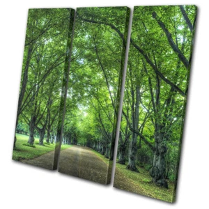 Oru Park Road Trees Woodland Landscapes TREBLE CANVAS WALL ART Picture Print - Picture 1 of 1