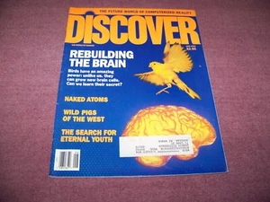 Vintage Discover Magazine 1990 Rebuilding The Brain / Computer Grand Illusions - Picture 1 of 4