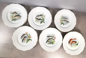 Lot 12 ASSIETTES Plates Porcelaine LIMOGES Floralies Decor POISSONS Rivieres C3 - Imagen 1 de 10
