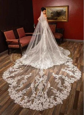 Velos de boda apliques de encaje longitud catedral con peine velos de novia de 1 nivel Foto 1 de 4