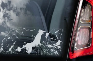 Border Collie Sticker, Car Window Sign, Pet Dog Owner Gift, Bumper Decal -V10 - Picture 1 of 1