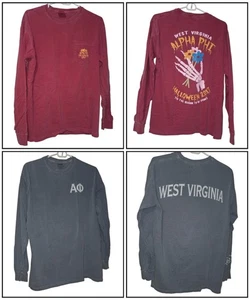 Women's Lot Of 2 Long Sleeve Graphic Top/Shirt Size Medium Comfort Colors - Picture 1 of 14