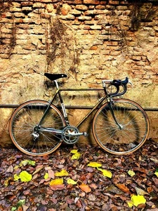 Pettenella Cromovelato Italian Vintage Road Bicycle 54cm Campagnolo Croce D'aune - Picture 1 of 12