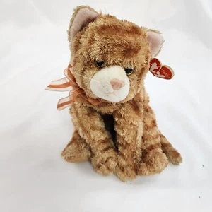 TY BEANIE Babys BUDDY Tysilk Seide APRICOT Hang Tag TABBY Plüsch KATZE KÄTZCHEN 2004 - Bild 1 von 10