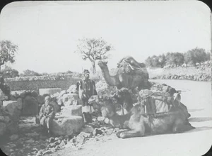 Puits des Mages, Palestine, photo ancienne plaque de verre, positif 8,5x10 cm - Foto 1 di 3