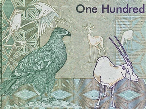OMAN 100 Baisa 1995 UNC P31 hawk, antelope, ibex, birds - Picture 1 of 3