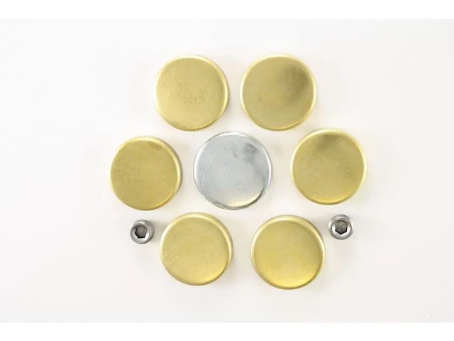 Kit de enchufe de expansión 61717SSFG 4,2 L 6 cilindros para Jeep J2600 1972-1973 Foto 1 de 2