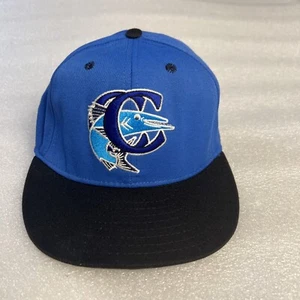 VINTAGE Former Corpus Christi Barracudas Hat Cap Minor Leagues Baseball 1994-95 - Picture 1 of 9