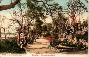 Gibraltar alte AK Alameda Gardens (347) - Bild 1 von 2
