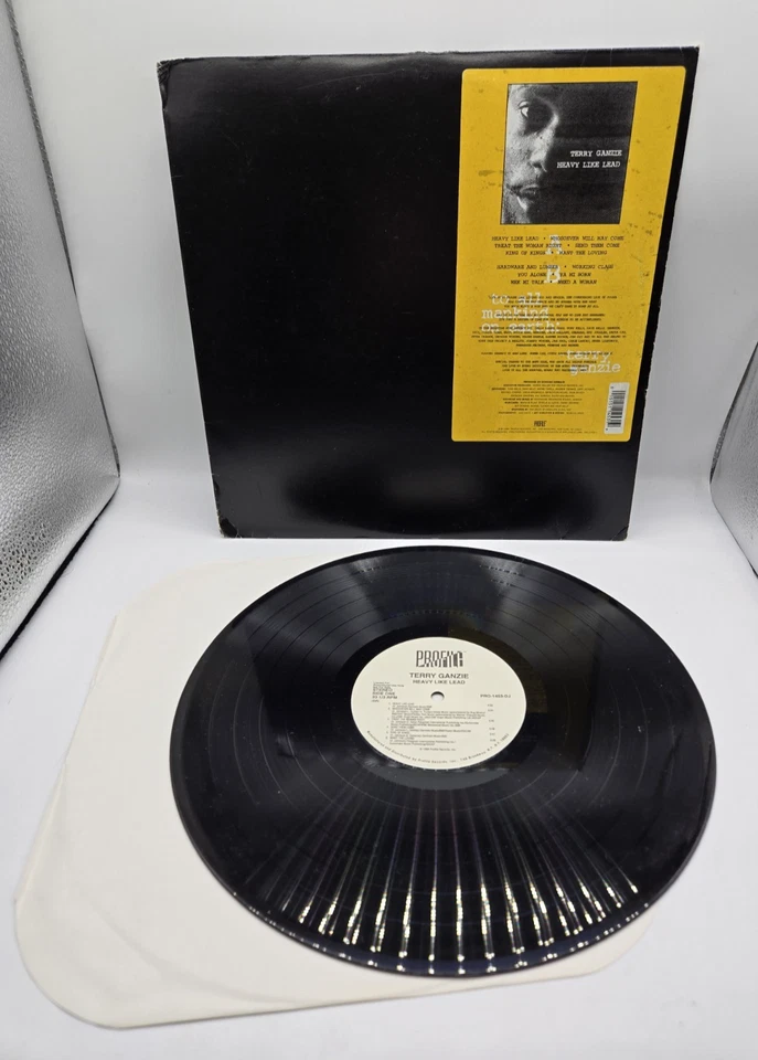 Terry Ganzie Heavy Like Lead Full Reggae Vinyl LP Record Album PRO-1453-DJ Foto 1 de 4