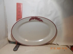 Tepco Restaurant Ware 12 15/16 by 9 inch platter-Decorated with pine bough - Picture 1 of 2