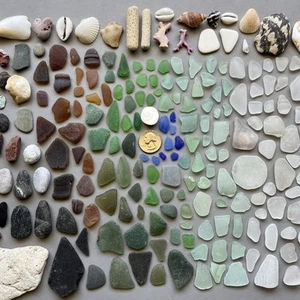 Beachcomber April 8, 2025 Sea Glass Seashells & Beach Treasures from Puerto Rico - Picture 1 of 23