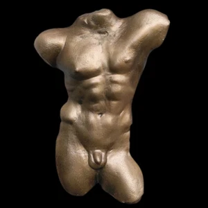 Nude Naked Greek Gay Male Man Torso sculpture plaque in Bronze Finish - Picture 1 of 1