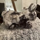 Webkinz Signature English Bunny Rabbit Ganz Plush Stuffed Animal Grey White Spot
