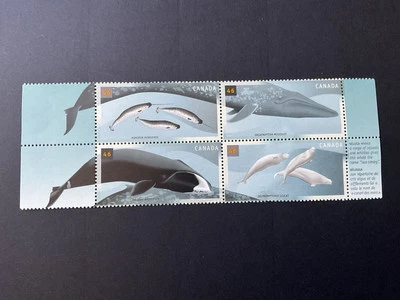 Canada 2000 Whales Block Of 4 MNH - image 1 of 2