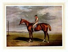 RACEHORSE VELOCIPEDE GRANDSTANDS COLOR PRINT HORSE JOCKEY SADDLE REINS WHIP