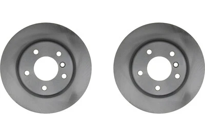 Par de rotores de freno de disco Raybestos traseros para BMW 325i 2006-2011 (60008) Foto 1 de 4