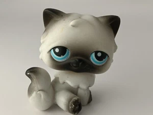 petshop authentic LPS Chat Persan Persian No European Cat rare #60 Aimant hasbro - Imagen 1 de 3