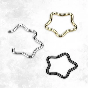 Anillos de aro de segmento con bisagras de estrella 18G G23 titanio clicker tabique joyería 10 mm 8 mm - Imagen 1 de 11
