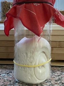 Hefe / fester Sauerteig 200 gr. im Glas OPERATIVE RÜCKGABE IM OKTOBER - Bild 1 von 8