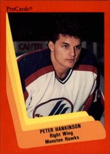 1990-91 ProCards AHL/IHL #254 Peter Hankinson
