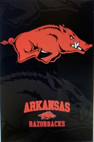 UNIVERSITY OF ARKANSAS RAZORBACKS "STORMING HOG" TEAM LOGO POSTER Cover