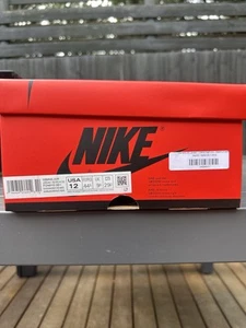 Jordan 1 Retro High OG Satin Bred (Women’s) 12US - Picture 1 of 5