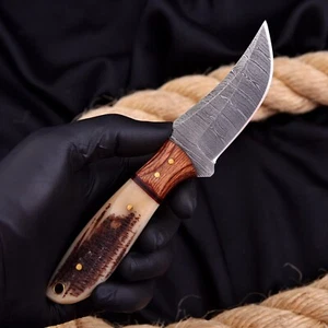 7.3" Custom Damascus Hunting Knife EDC Combat Fixed Blade With Antler Handle - Picture 1 of 5