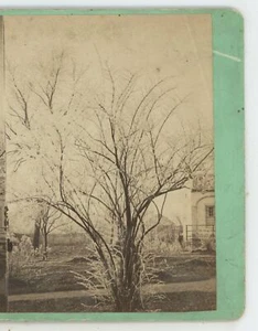 Landscape Scenery Vermont VT C.W. Nichols Stereoview - Picture 1 of 4