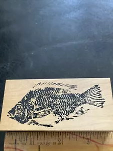 Tilapia Fish 1 Rubberstamp By Fred Mullet - Picture 1 of 4