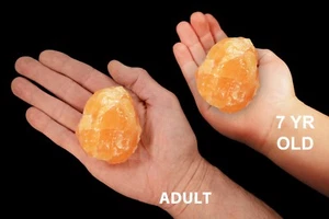 ORANGE CALCIT Kristall 3" 8-12 Oz Berg Mineral Probe Heilung Reiki Stein - Bild 1 von 3