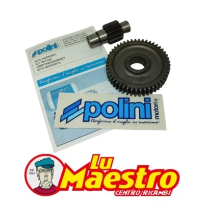 2021338 Ingranaggi Rapporto Allungato POLINI per Scooter Free Typhoon Nrg Z14/48 - Immagine 1 di 2