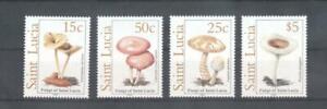 (878670) Mushrooms, Saint Lucia